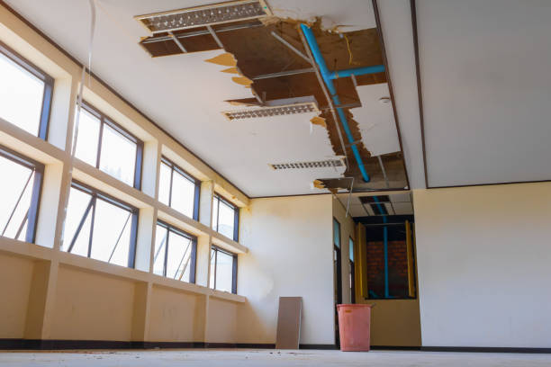 Best Water damage cleanup near me  in Mechanicville, NY