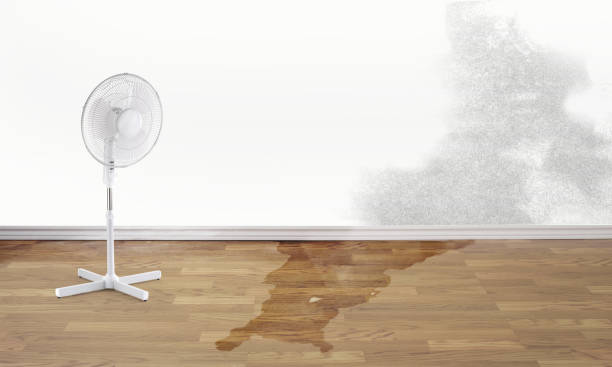 Best Flood restoration services  in Mechanicville, NY