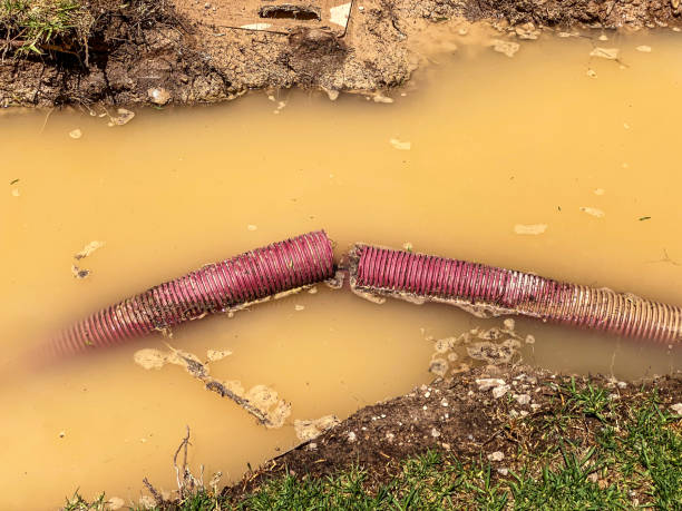 Best Flood damage cleanup  in Mechanicville, NY